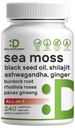 SUPPLEMENTO SUPPLEMENTARE L'Irish Sea Moss 7000mg Per Serving, 240 capsule di verdure – 14 Superfood Complex – 3000mg Black Seed Oil, 2000mg Ashwagandha, 600mg Ginger