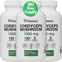 Fungo di gamberetti di PRISTINE (3 Pack) 1000 MG - Prestazioni atletiche, Integratore di capsule di adaptogen di Endurance & Immunity - Alimentazione di 180 giorni - Antiossidante di supporto di invecchiamento
