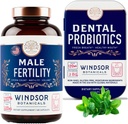 WINDSOR BOTANICALs Male Fertility Supplement und Dental Probiotics Gesundheit und Wellness Bundle