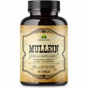 HERBALICIOUS Mullein Blatt Extrakt für Lungen – Lung Detox für Raucher & Atemschutz – Kräuterergänzung für Lung Cleanse, Detox und Digestive Wellness – Vegan, Non-GMO, 100 Kapseln