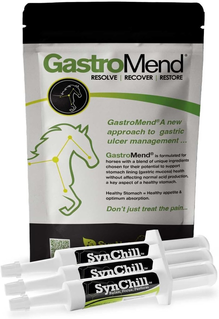 SynChill 3 Pack + GastroMend Bundle pour Chevaux - Stomach santé complète et soutien comportemental, aides au soulagement de l'ulcère gastrique, favorise le calme et la concentration, tout naturel, rentable
