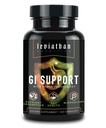 Leviathan Nutrition GI | Promuove la salute sana del fegato & Gut Bacteria - MicroBiome Bloating Balance Probiotici & Intestinal Lining Health con Zinc-L-Carnosine, Butyrate, & DGL Supplemento - 120 capsule