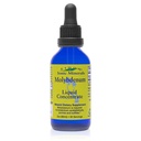 Minéraux ioniques d'Eidon Complément de molybdène liquide - Minéraux ioniques liquides, gouttes de molybdène, tous naturels, aucun sucre ajouté, soutient les processus biologiques, suppléments minéraux, 2 oz