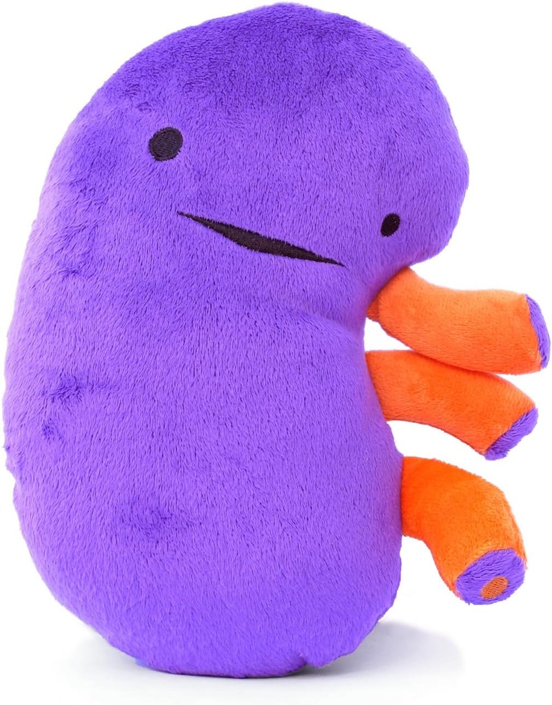 I Heart Guts Kidney Plüsch – 9" Educational Stuffed Organ Spielzeug für Nierenkrankheit, Transplant Recovery, Dialyse, CKD, Polycystic Kidney, Renal Failure – Funny Get Well Gift