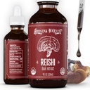 Hodgins Harvest Organic Reishi Mushroom Fruiting Body Extract Tincture - Extra Concentrated Dual Extract Supplement - Supporta la salute e il benessere del cuore - USDA Organic Mushrooms - 4 oz