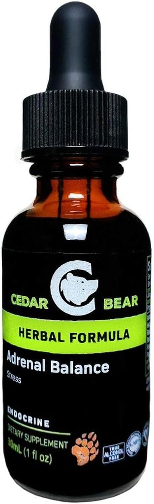 Cedar Bear Adrenal Balance - Flüssige Kräuterergänzung mit Adaptogenen, die Fatigue, Stress zu verwalten und Energie erhöhen 1 fl oz / 30 ml