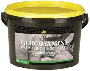 Lincoln Glucosamine Premium Concentrate Horse Supplément - 600g (santé optimale dans les articulations et le cartilage)