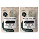 Poudres de jungle Fadogia Agresti Poudre pour homme 50:1 313 Servants, Extrait de fourmi noire 30:1 94 Servants 5oz, Traditionnels Hommes Soins de santé pour la conduite et la passion