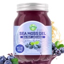 Sea Moss Gel, 18.5OZ Raw Flavored Irish Seamoss Gel Immun- und Verdauungsunterstützung Vitamin Mineral Supplements, Blueberry