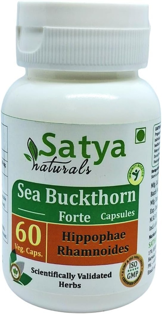 Sea Buchthorn Forte Capsule 500 mg. 60 Veg. Capsule | Sea Buchthorn (Hippophae rhamnoides)Extract Capsules for Men and women | Ayurvedic Herbal Supplement | 10:1 Forte (1 Bottle of 60 Capsules)