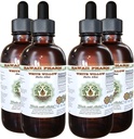 Extrait liquide sans alcool de saule blanc d'Hawaii, saule blanc biologique (Salix Alba) glycérite séchée glycérite supplément à base de plantes naturelles, États-Unis 4x4 fl.oz
