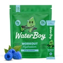 Waterboy Workout Hydration | 2,960mg Zucchero gratuito Electrolyte Powder Packets | L-Glutamine + Vitamine | No Sugar, All Natural, Gluten Free | 15 Bevande Stick Mixs (Blue)