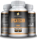 EPICATECHIN - 500MG par portion - 60 portions et 1000MGS par portion - 30 portions - force maximale - mai réduire la myostatine - mai augmenter le poids musculaire et la force - aide à la synthèse protéique