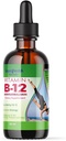 LIQUIDHEALTH vitamine B12 méthylcobalamine gouttes liquides avec hydroxocobalamine sublingual - Boost Energy, support système immunitaire, améliorer la mémoire et la concentration - Fabriqué aux États-Unis, végétalien, non-OGM (2 oz)