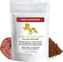 Bien-être addictif Reishi Extrait de champignons Poudre + Spores (50/50 Mélange) Bois cultivé Pure & Potent Ganoderma 50g (1,76 oz)