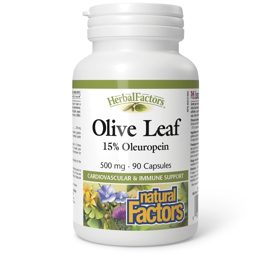 HerbalFactors by Natural Factors, Olive Leaf 500 mg, Natural Wellness Formula, 90 Kapseln