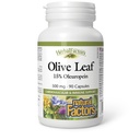 HerbalFactors by Natural Factors, Olive Leaf 500 mg, Natural Wellness Formula, 90 Kapseln