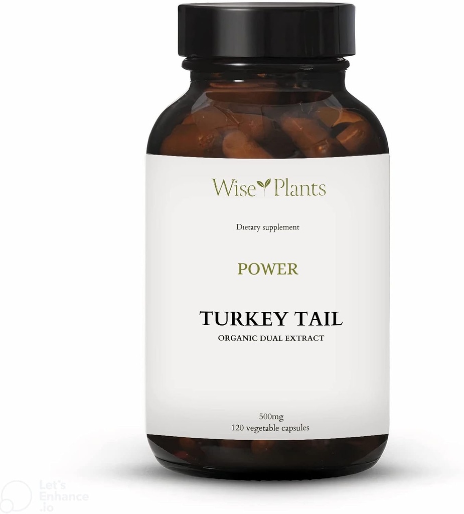 Turchia Tail Mushroom Supplemento. Dual Extract, Pure Fruiting Body, 30% Polysaccharides, 500 mg, 120 vegecaps (Fornitura da 60 giorni). Può supportare la funzione immunitaria sana