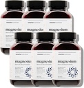 Smarter Nutrition Magnesium Complex - Chelat Magnesium Glycinat + Citrat, Malat für Schlaf, Entspannung, Muskel & Nerves + Klinisch bewährte L-Theanin, Non-GMO-360 Tablet[180-Day Supply]
