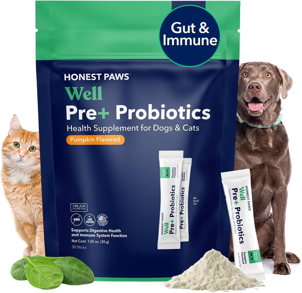 Probiotiques Honnest Paws pour chiens - Poudre probiotique Gut Digestion pour chiens avec prébiotique fabriqué aux États-Unis, support digestif et immunitaire - enzymes digestives avec goût de citrouille (30 bâtons)