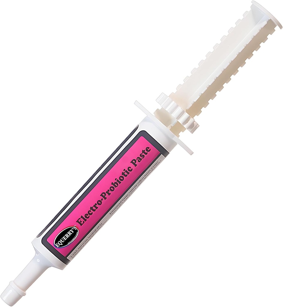 Equerry's Electro-Probiotic Paste für Pferde - 30g | Equine Probiotics & Elektrolyte für belastete Pferde | Easy Oral Syringe | Made in USA