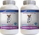 Anti Durchfall Pillen für Hunde - PROBIOTICS für Hunde - Gesundes Gut - Stoppen Gas Durchfall und Bad Breath - Verdauungsstärke - Hunde-Probiotika-Packets - 2 Flaschen (120 Bäume)