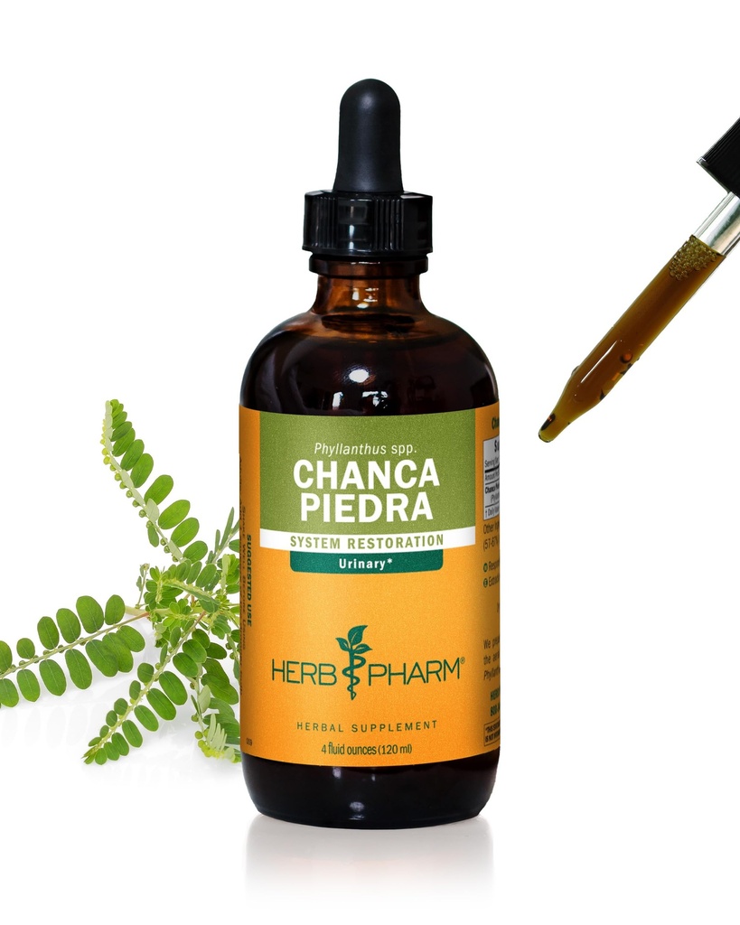 Herb Pharm Chanca Piedra Extrait liquide pour le support du système urinaire - 4 Once