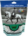 Funky Unicorn Gastic Chews - MINT Geschmack