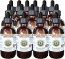 Cannelle Extrait liquide sans alcool, cannelle (Cinnamomum Verum) glycérite séchée glycérite Hawaii Pharm supplément naturel à base de plantes 15x4 oz