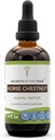 Segreti della Tribe Horse Chestnut Alcohol Liquid Extract, Cavallo Chestnut (Aesculus hippocastanum) Dried Nut Tincture Supplement (4 FL OZ)