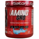 Polvere di iSatori Amino-GRO BCAA, Aminoacidi a catena ramificata con Glutamina, Polvere di elettrolita & Bio-GRO Bio-Active Peptides per la crescita del muscolo & post Workout Recovery, Cono di neve Razz blu (30 Servings)