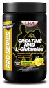 Série Pro Recovery Creatine HMB L-Glutamine est une puissante formule de récupération conçue pour accélérer la réparation musculaire et soutenir la croissance musculaire maigre après des entraînements intenses.