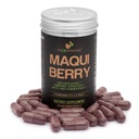 Noomadic Maqui Berry, 60 capsule | 500mg ciascuno, antiossidante (alto ORAC), supporto del sistema immunitario, Supporta gli occhi secchi (Supporti Tear Production), estratto standardizzato (10% Anthocyanins)