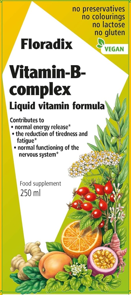 Floradix Vitamin B Complex Liquid Formula, 250 ml