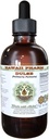 Estratto di liquido senza alcool di Dulse (Palmaria Palmata) Dried Leaf Glycerite Hawaii Pharm Natural Herbal Supplement 2 oz