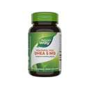 Thérapie enzymatique, Dhea 5mg, 60 Compte