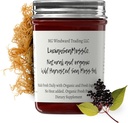 Dr. Sebi Inspiré Alcaline Bio Fresh Elderberry Ginger Sea Moss Gel - Vitamines essentielles naturelles, Minéraux Plus Antioxydants Sauvages récoltés de Sainte-Lucie (8 oz.)