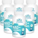 Liposomal NAD+ Supplemento 1000 mg | Pontecy NAD più alta | Max Absorption | Supplemento NAD puro | Riparazione dell'energia e del DNA, Difesa dell'invecchiamento, Funzione cerebrale | 360 Softgels