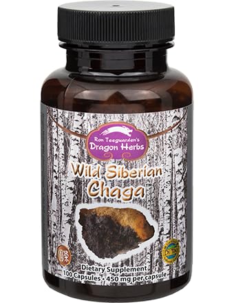 Dragon Herbs - Wild Sibirische Chaga Kapseln - 100 Kapseln, 450 mg Jede