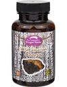 Dragon Herbs - Wild Sibirische Chaga Kapseln - 100 Kapseln, 450 mg Jede