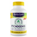 Gesunde Ursprünge Pycnogenol 100 mg (Natures Super Antioxidant, Non-GMO, Glutenfrei, Herz-Kreislauf-Unterstützung), 120 Veggie Caps