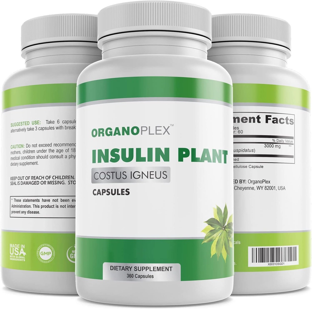 Capsule vegetali isolanti (Costus Igneus), 100% Integratore Naturale, 360 Caps Veggie (2 Mesi di Alimentazione) - Impianto Isolante