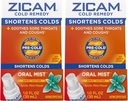 Zicam Cold Remedy Zink Arctic Mint Oral Mist, 1 Unze (Pack von 2)