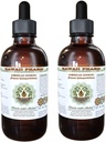 American Ginseng Alcohol-Free Liquid Extract, Ginseng (Panax Quinquefolius) Getrocknete Wurzel Glycerit Hawaii Pharm Natural Herbal Supplement 2x4 oz