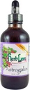 Teinture d'Astragalus – gouttes d'extrait de racine d'Astragalus liquide - Support du système immunitaire – 4 Fl Oz