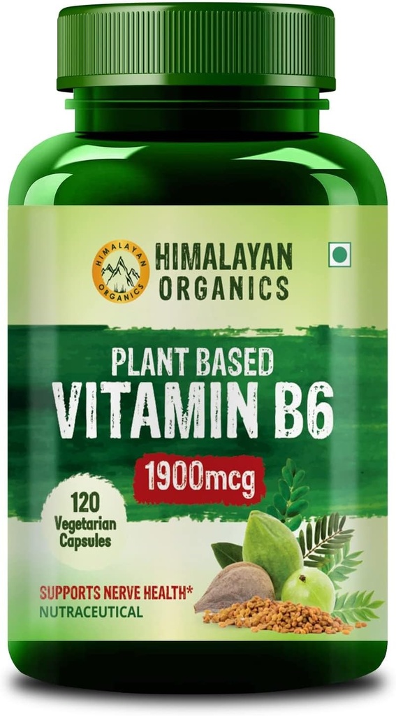 Vitamine à base de plantes B6--Appuye l'immunité, la santé du cerveau (120 capsules)