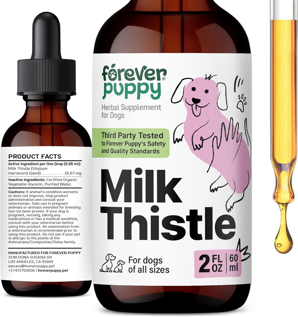 Supplément de chardon de lait pour chien pour les chiens - Soutien du foie pour les chiens avec extrait de chardon de lait - Suppléments de silymarine et vitamines pour petite grosse race moyenne - gouttes de détox de foie de Canine - 2 oz