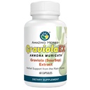 Amazing Herbs GraviolaEX Anona Muricata - 100% Pure Graviola (Soursop) Extract, Natural Health from The Rain Forest, Herbal Dietary Supplement - 60 Count (Pack of 1)