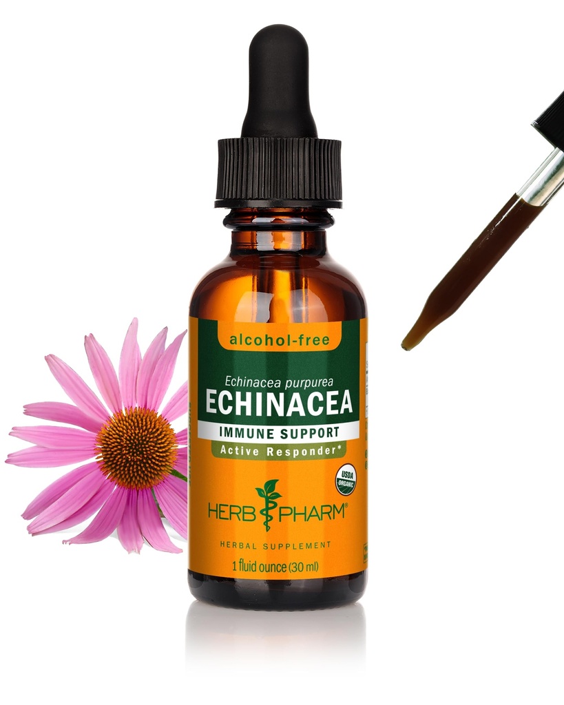 Extrait de racine d'échinacée biologique, sans alcool: système immunitaire pour toutes les saisons, supplément de plante d'échinacée à action rapide, non OGM, végétalien et sans gluten, 1 Oz