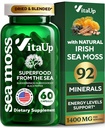 Wildcrafted Irish Sea Moss Capsule con Burdock Root & Bladderwrack - USA Made Sea Moss Advanced for Hair, Skin, Immune & Energy Levels Support - SeaMoss Pills - 60 Vegan Capsule